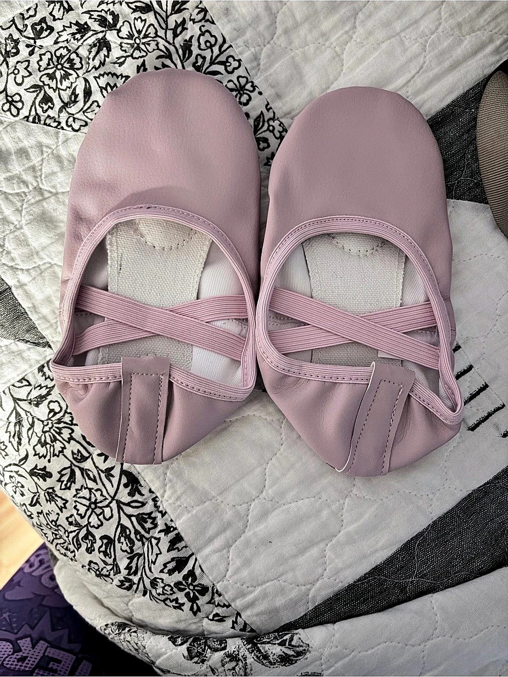 Pink Girls Ballet Shoes US 1.5 NWT